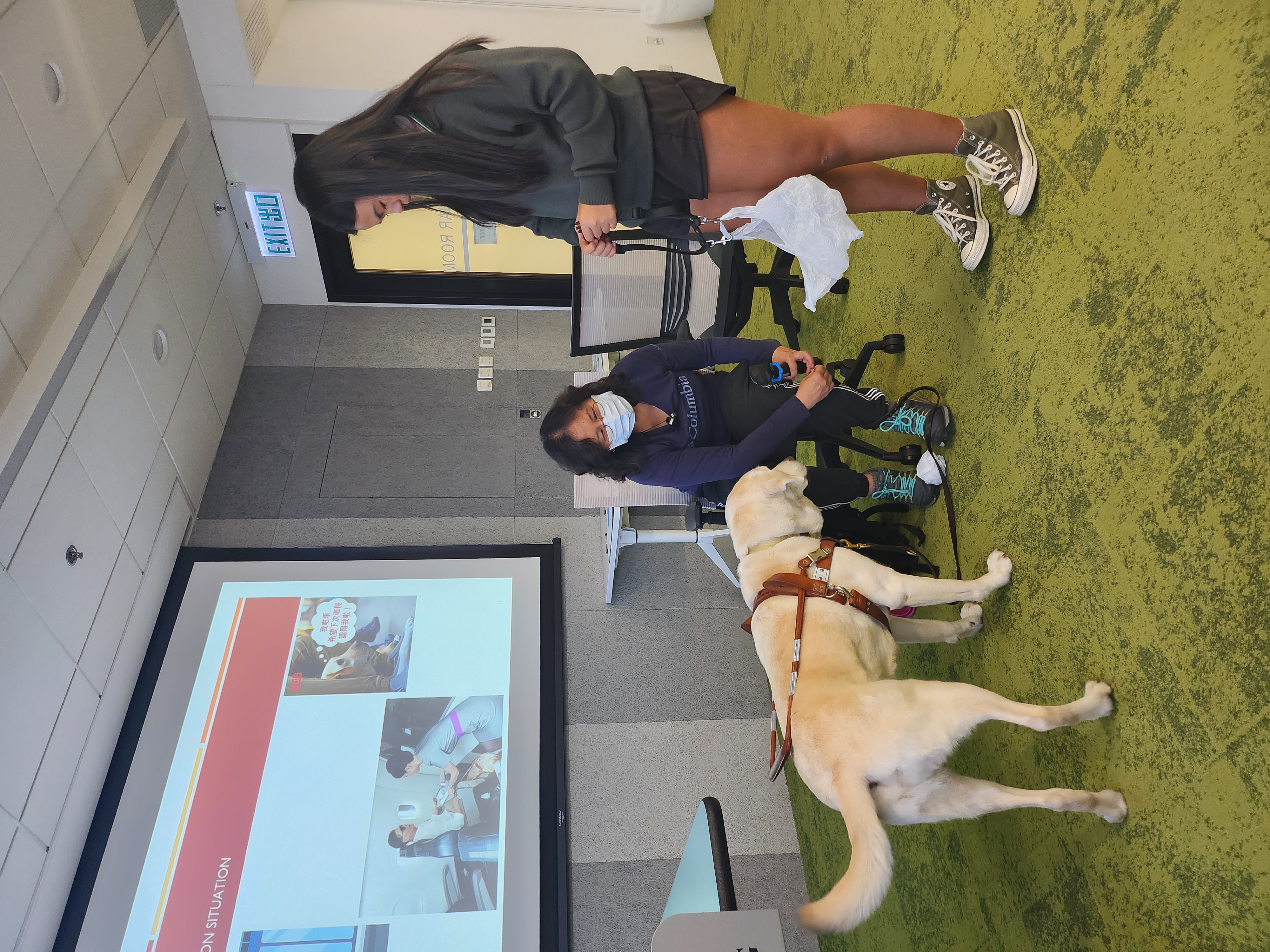 Photo of the interaction between the participant and guide dog