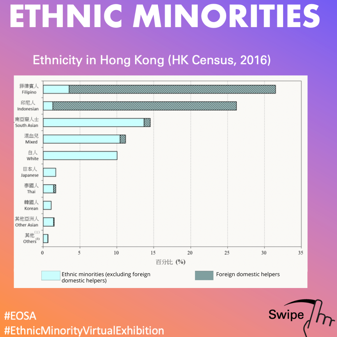 EM Virtual Exhibition Day 1: Demographic data of ethnic minorities in HK