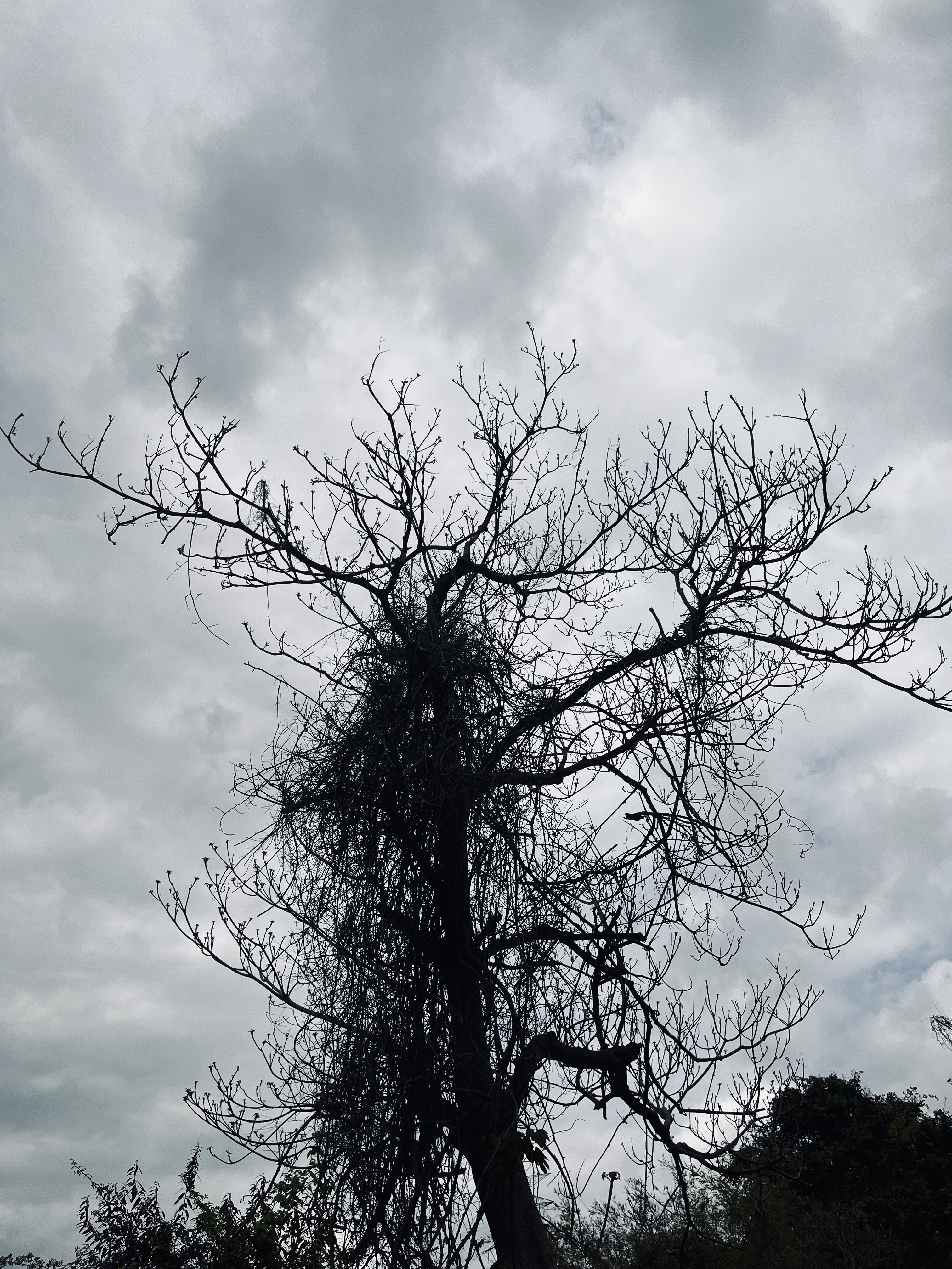 Photo: All by Myself