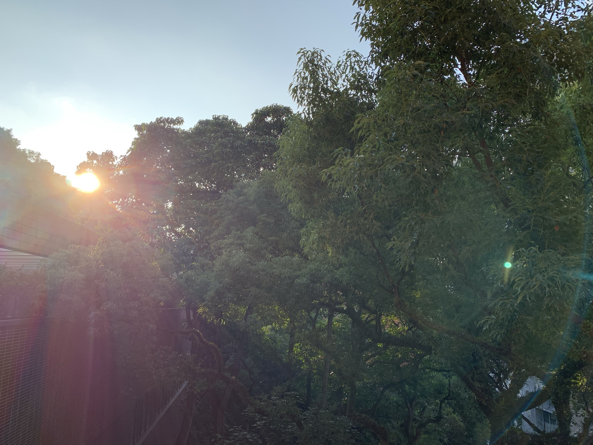 Photo: Light of the World